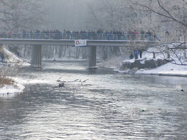 Brak tytułu