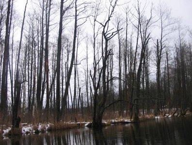 Zdjęcia z naszych spływów kajakowych - marcin-i-olaf-3-dniowy-zimowy-splyw-krutynia-z-noclegami-pod-namiotem-31-01-2007-03-02-20007