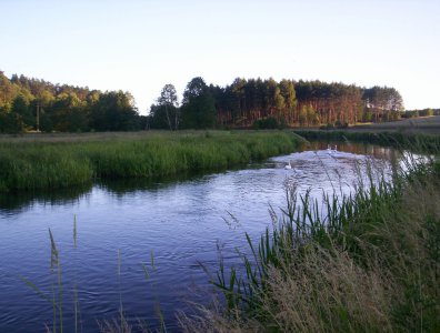 Zdjęcia z naszych spływów kajakowych - wda-22-07-29-07-2007