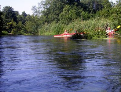 Zdjęcia z naszych spływów kajakowych - wda-22-07-29-07-2007