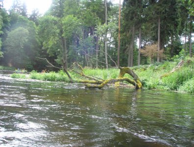 Zdjęcia z naszych spływów kajakowych - wda-22-07-29-07-2007