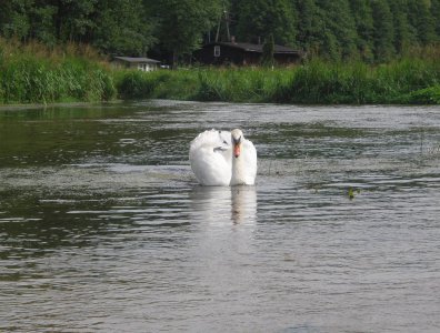 Zdjęcia z naszych spływów kajakowych - wda-22-07-29-07-2007